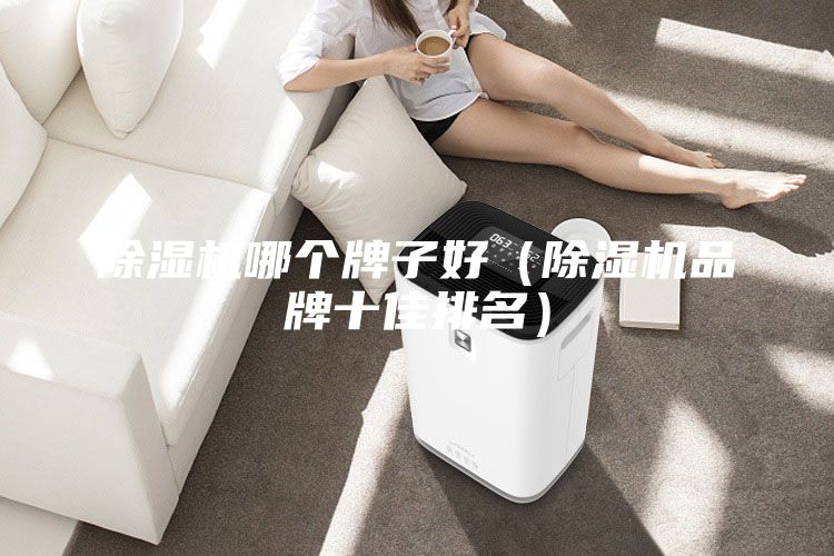 除濕機(jī)哪個牌子好（除濕機(jī)品牌十佳排名）