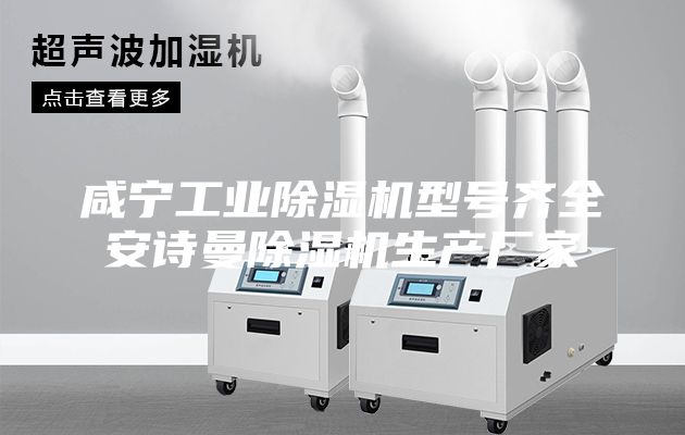 咸寧工業(yè)除濕機(jī)型號(hào)齊全安詩(shī)曼除濕機(jī)生產(chǎn)廠(chǎng)家
