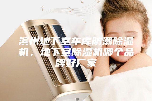 濱州地下室車庫(kù)防潮除濕機(jī)，地下室除濕機(jī)哪個(gè)品牌好廠家