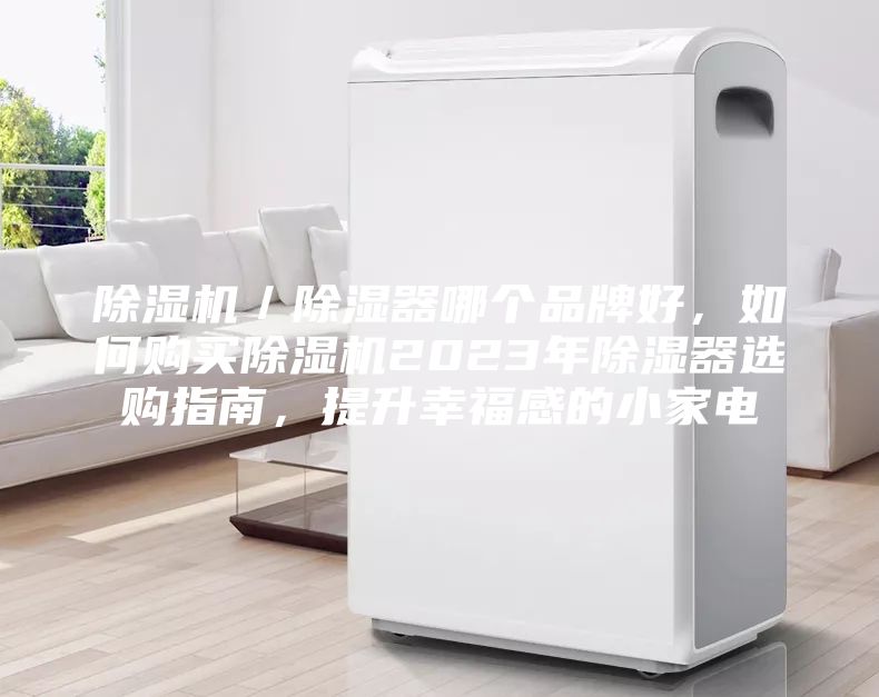 除濕機(jī)／除濕器哪個(gè)品牌好，如何購買除濕機(jī)2023年除濕器選購指南，提升幸福感的小家電