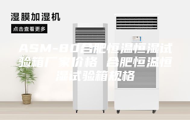 ASM-80合肥恒溫恒濕試驗箱廠家價格 合肥恒溫恒濕試驗箱規(guī)格