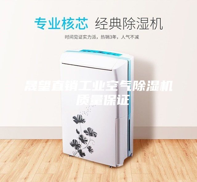 晟望直銷工業(yè)空氣除濕機 質量保證