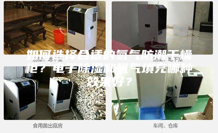 如何選擇合適的氮?dú)夥莱备稍锕瘢侩娮映凉窈偷獨(dú)馓畛淠姆N效果好？