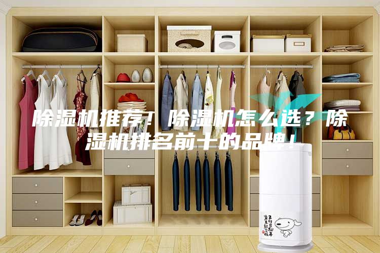 除濕機推薦！除濕機怎么選？除濕機排名前十的品牌！