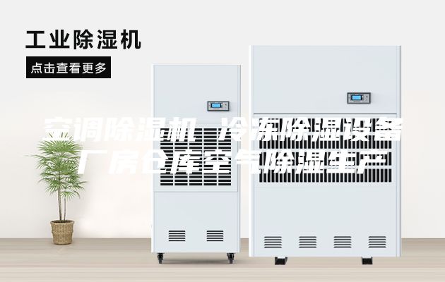 空調(diào)除濕機(jī) 冷凍除濕設(shè)備 廠房倉(cāng)庫(kù)空氣除濕生產(chǎn)