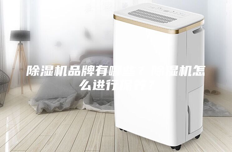 除濕機(jī)品牌有哪些？除濕機(jī)怎么進(jìn)行保養(yǎng)？