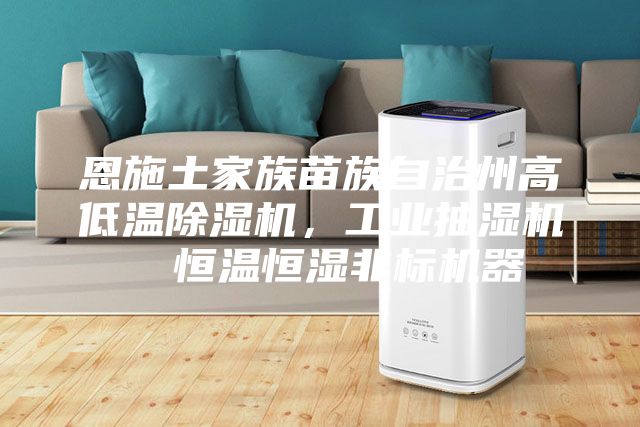 恩施土家族苗族自治州高低溫除濕機，工業(yè)抽濕機  恒溫恒濕非標機器