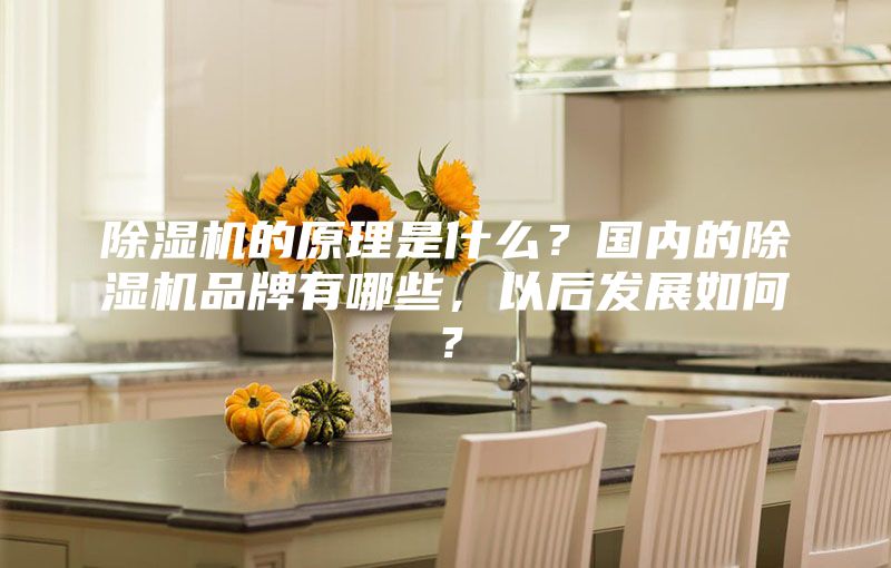 除濕機(jī)的原理是什么？國(guó)內(nèi)的除濕機(jī)品牌有哪些，以后發(fā)展如何？