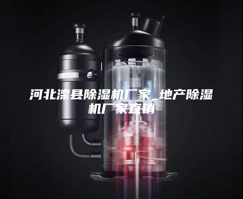 河北灤縣除濕機(jī)廠家_地產(chǎn)除濕機(jī)廠家直銷