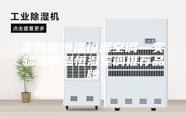 實(shí)驗(yàn)室恒溫恒濕空調(diào)—實(shí)驗(yàn)室恒溫恒濕空調(diào)推薦品牌
