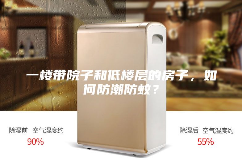 一樓帶院子和低樓層的房子，如何防潮防蚊？