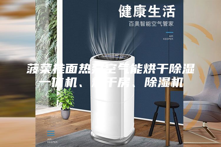 菠菜掛面熱泵空氣能烘干除濕一體機(jī)、烘干房、除濕機(jī)
