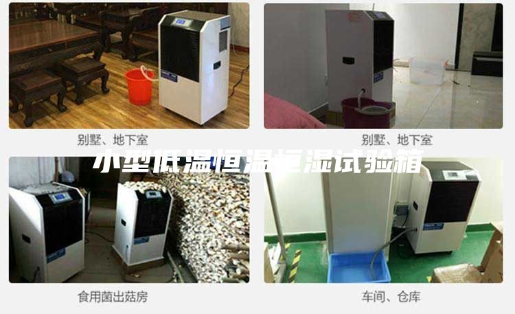 小型低溫恒溫恒濕試驗(yàn)箱