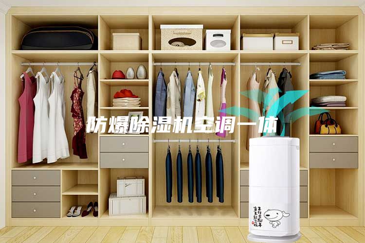 防爆除濕機(jī)空調(diào)一體