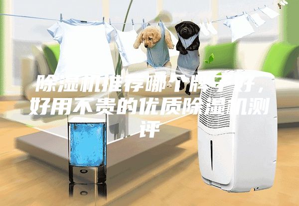 除濕機推薦哪個牌子好，好用不貴的優(yōu)質(zhì)除濕機測評