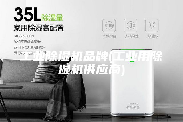 工業(yè)除濕機品牌(工業(yè)用除濕機供應(yīng)商)