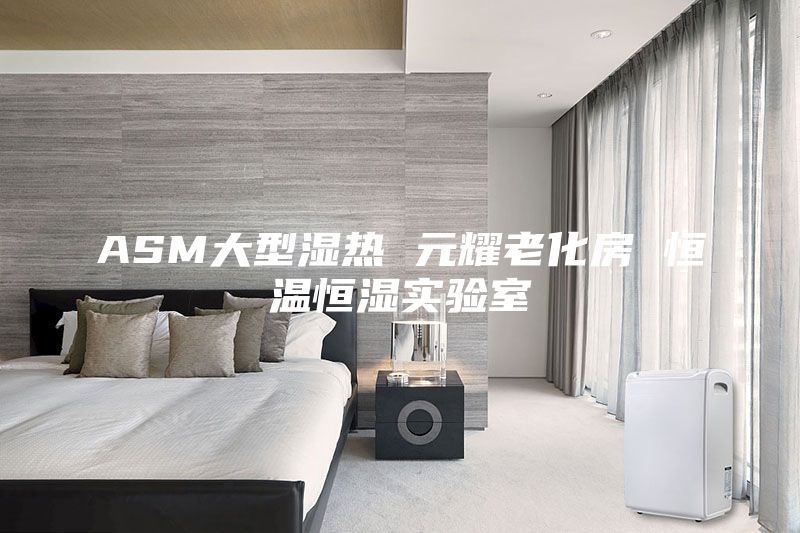 ASM大型濕熱 元耀老化房 恒溫恒濕實驗室