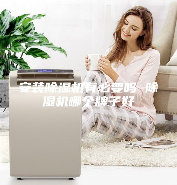安裝除濕機有必要嗎 除濕機哪個牌子好