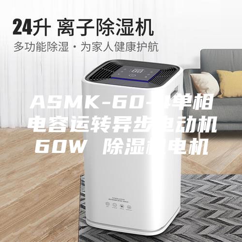 ASMK-60-4單相電容運(yùn)轉(zhuǎn)異步電動(dòng)機(jī)60W 除濕機(jī)電機(jī)