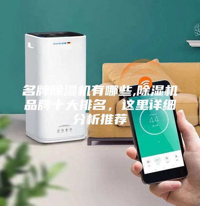 名牌除濕機有哪些,除濕機品牌十大排名，這里詳細分析推薦