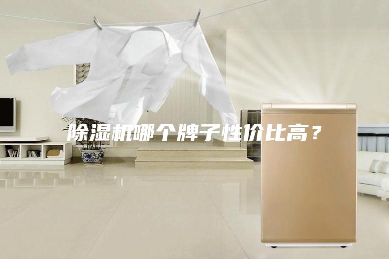 除濕機(jī)哪個牌子性價比高？