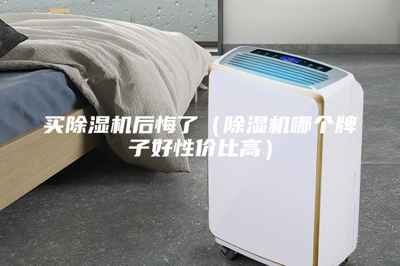 買除濕機(jī)后悔了（除濕機(jī)哪個(gè)牌子好性價(jià)比高）