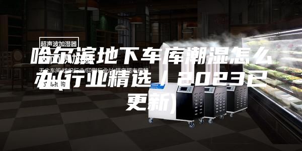 哈爾濱地下車庫(kù)潮濕怎么辦(行業(yè)精選／2023已更新)