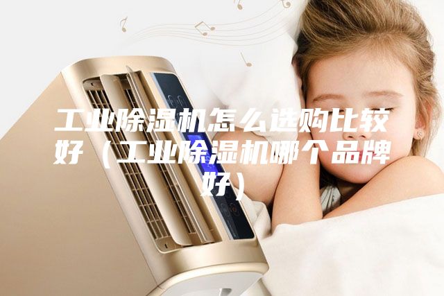 工業(yè)除濕機(jī)怎么選購比較好（工業(yè)除濕機(jī)哪個(gè)品牌好）