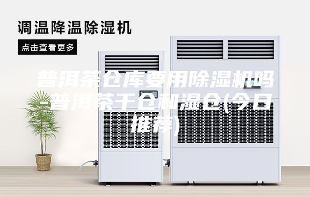 普洱茶倉(cāng)庫(kù)要用除濕機(jī)嗎-普洱茶干倉(cāng)和濕倉(cāng)(今日推薦)