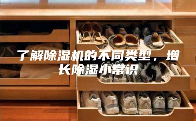了解除濕機的不同類型，增長除濕小常識