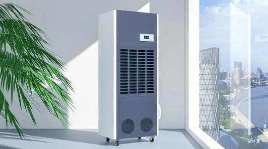 難見太陽，南方潮濕，使用除濕機