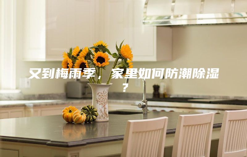 又到梅雨季，家里如何防潮除濕？
