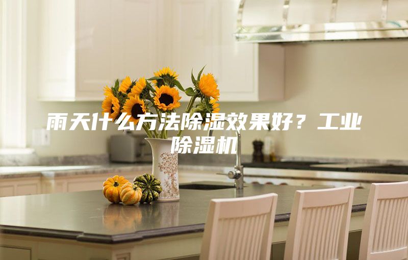 雨天什么方法除濕效果好？工業(yè)除濕機(jī)