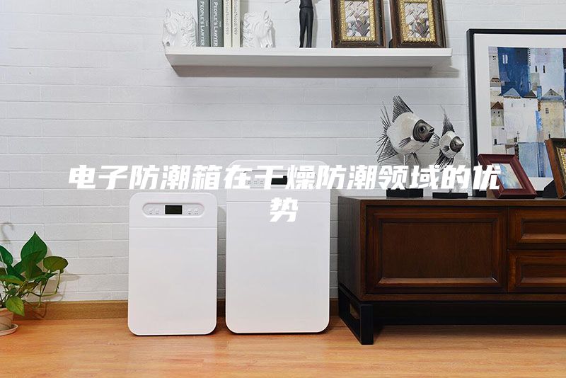 電子防潮箱在干燥防潮領(lǐng)域的優(yōu)勢