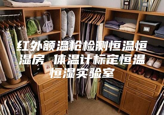 紅外額溫槍檢測(cè)恒溫恒濕房 體溫計(jì)標(biāo)定恒溫恒濕實(shí)驗(yàn)室