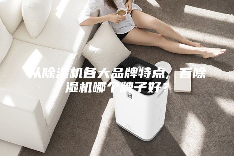 從除濕機(jī)各大品牌特點(diǎn), 看除濕機(jī)哪個(gè)牌子好？