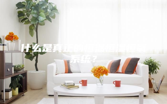 什么是真正的恒溫恒濕恒氧系統(tǒng)？