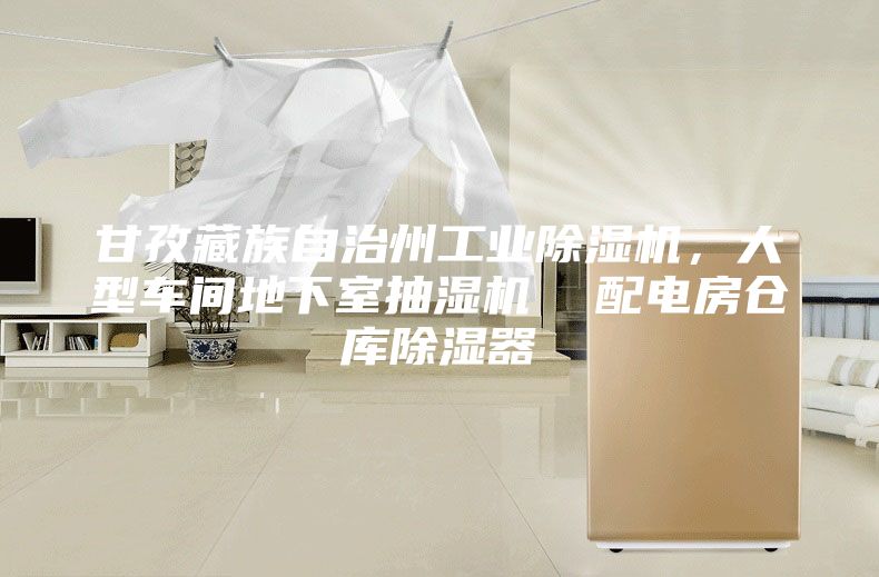 甘孜藏族自治州工業(yè)除濕機(jī)，大型車(chē)間地下室抽濕機(jī)  配電房倉(cāng)庫(kù)除濕器