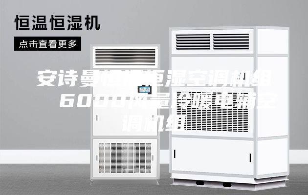 安詩曼恒溫恒濕空調(diào)機組  6000風(fēng)量冷暖電輔空調(diào)機組