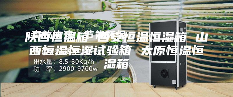 陜西恒溫箱 西安恒溫恒濕箱 山西恒溫恒濕試驗(yàn)箱 太原恒溫恒濕箱