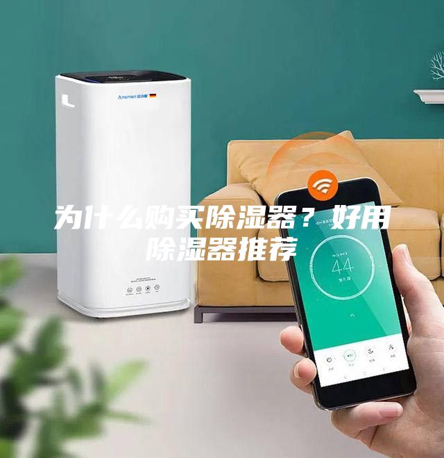 為什么購買除濕器？好用除濕器推薦