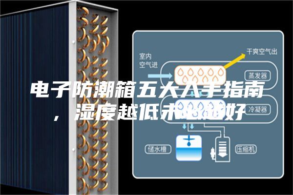 電子防潮箱五大入手指南，濕度越低未必越好