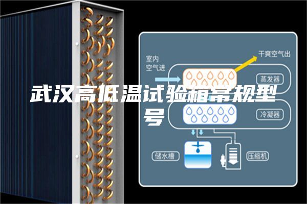 武漢高低溫試驗箱常規(guī)型號