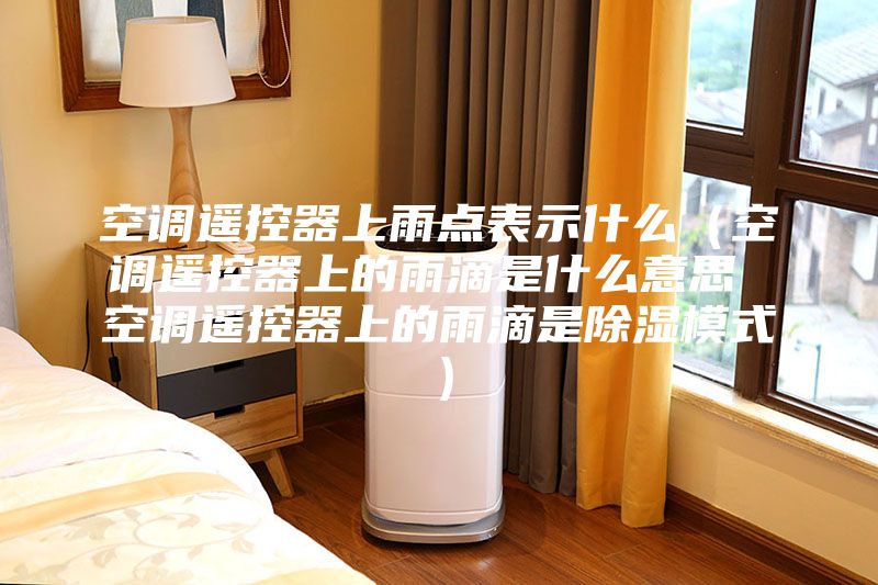 空調(diào)遙控器上雨點(diǎn)表示什么(空調(diào)遙控器上的雨滴是什么意思 空調(diào)遙控器上的雨滴是除濕模式)