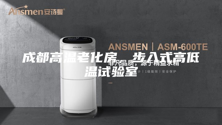 成都高溫老化房，步入式高低溫試驗室