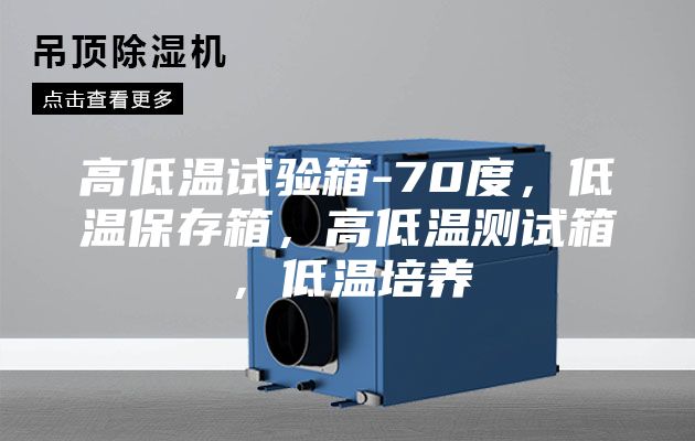 高低溫試驗(yàn)箱-70度，低溫保存箱，高低溫測試箱，低溫培養(yǎng)