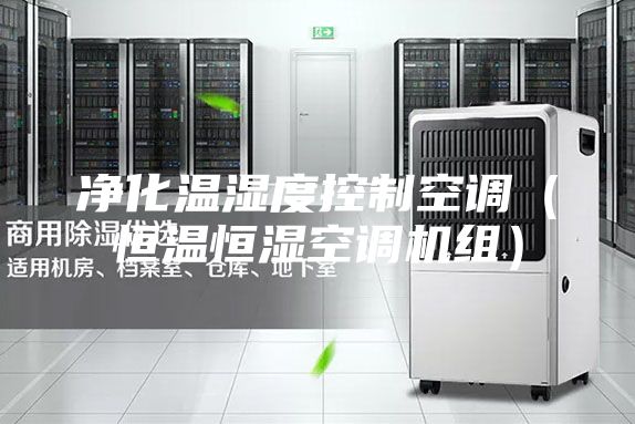 凈化溫濕度控制空調(diào)(恒溫恒濕空調(diào)機(jī)組)