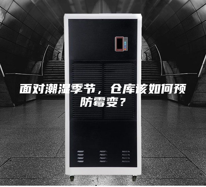 面對潮濕季節(jié)，倉庫該如何預(yù)防霉變？